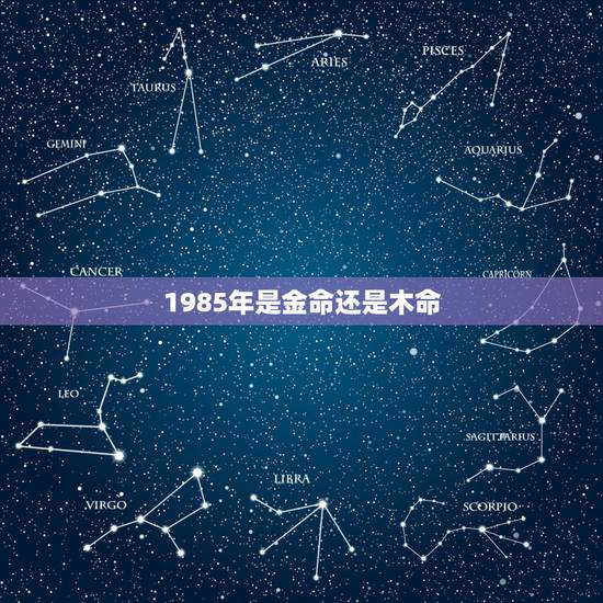 1985年是金命还是木命 1985年是金命还是木命