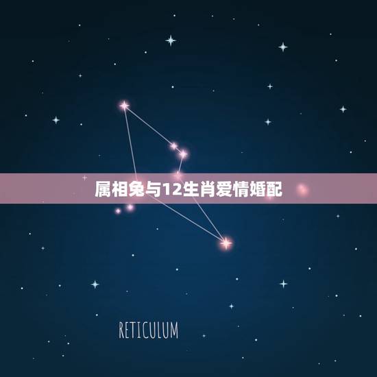 属相兔与12生肖爱情婚配，属兔和什么属相比较相配