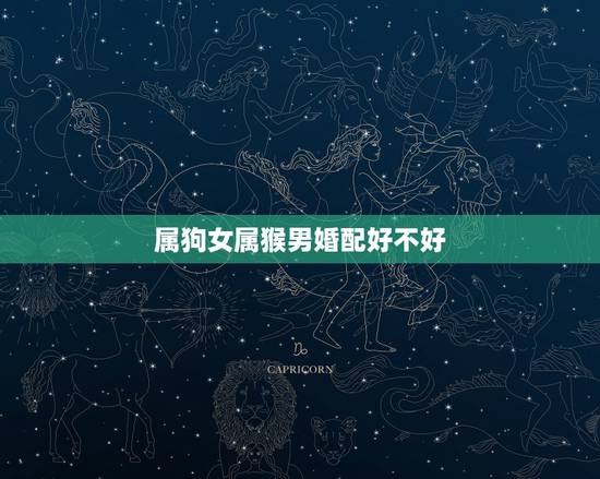 属狗女属猴男婚配好不好，男属狗女属猴配吗