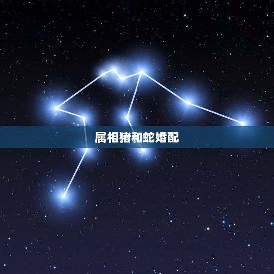 属相猪和蛇婚配，属猪和属蛇的合不合能不能结婚