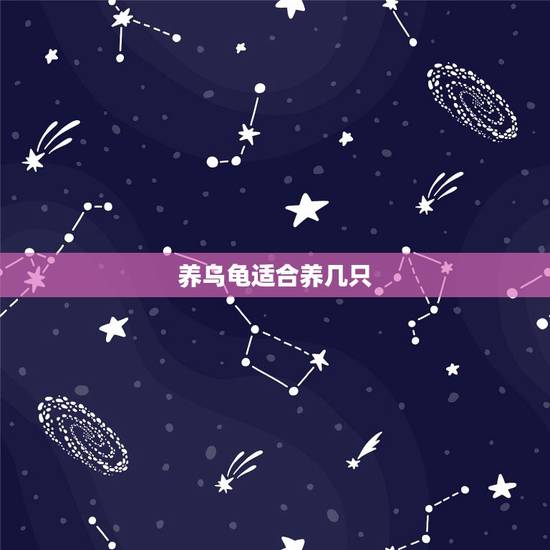 养乌龟适合养几只,养乌龟做好养几只? 养乌龟适合养几只,养乌龟做好养几只?