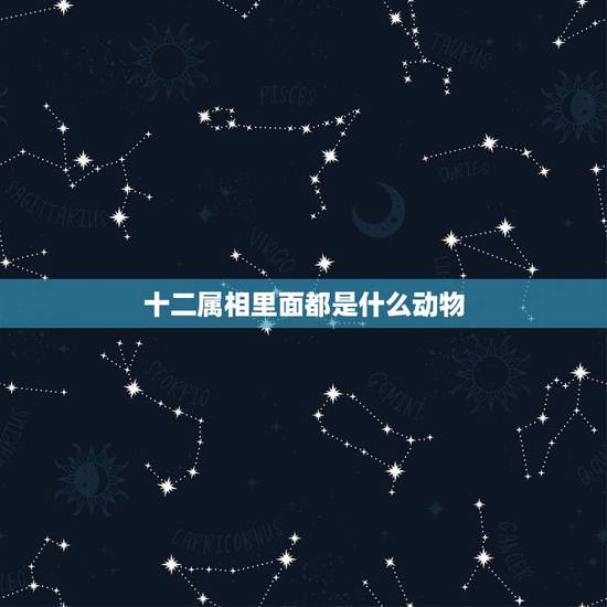 十二属相里面都是什么动物，十二生肖里全身是肉的动物是哪个