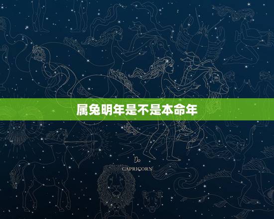 属兔明年是不是本命年，属兔本命年是多少岁
