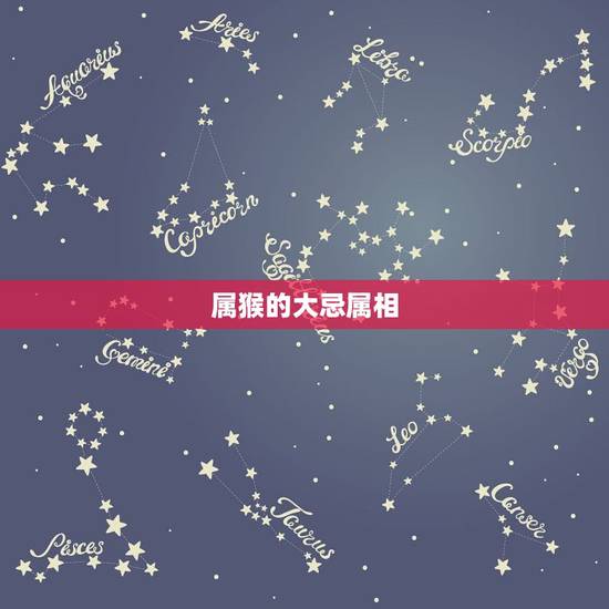 属猴的大忌属相,属猴新娘结婚忌啥属相 属猴的大忌属相,属猴新娘结婚忌啥属相