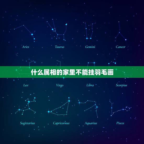 什么属相的家里不能挂羽毛画,家里挂羽毛画有风水讲究吗? 什么属相的家里不能挂羽毛画,家里挂羽毛画有风水讲究吗?