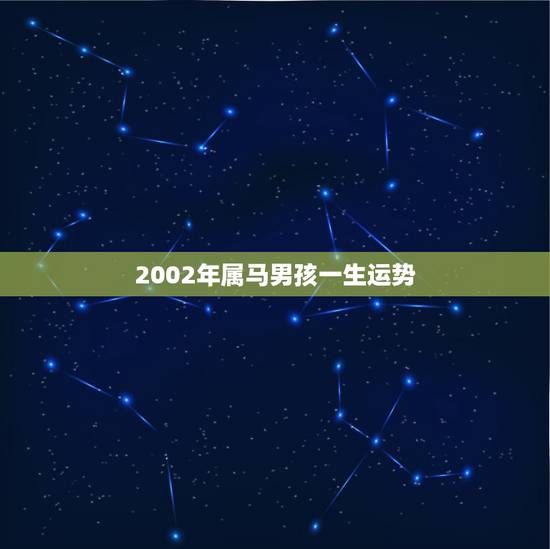 2002年属马男孩一生运势，2002年农历2月初2生人属马一生的学业运