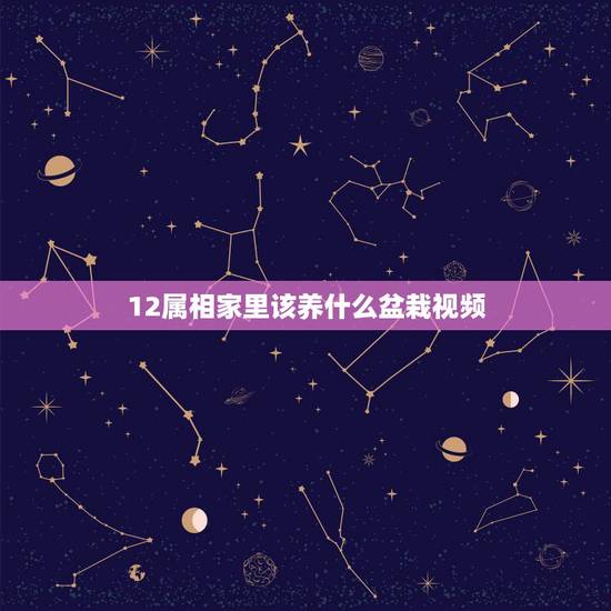 12属相家里该养什么盆栽视频，十二生肖每种生肖适合什么花草合适