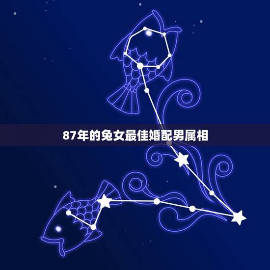 87年的兔女最佳婚配男属相,属猴和属兔婚姻配吗? 87年的兔女最佳婚配男属相,属猴和属兔婚姻配吗?