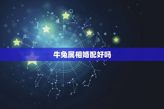 牛兔属相婚配好吗，龙兔属相婚配