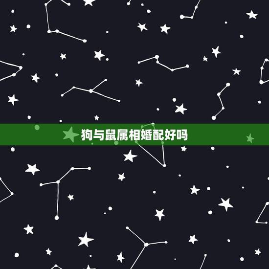 狗与鼠属相婚配好吗,十二生肖鼠与什么生肖不宜婚配 狗与鼠属相婚配好吗,十二生肖鼠与什么生肖不宜婚配