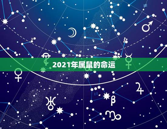 2021年属鼠的命运,2021鼠人全年运势 2021年属鼠的命运,2021鼠人全年运势