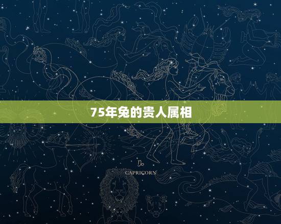 75年兔的贵人属相，1988属龙人2022 年运势运程