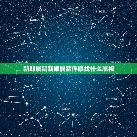 新郎属鼠新娘属猪伴娘找什么属相,新娘属鼠新郎属猪应该找什么属相的伴娘伴 新郎属鼠新娘属猪伴娘找什么属相,新娘属鼠新郎属猪应该找什么属相的伴娘伴