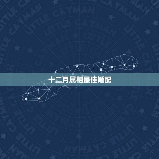 十二月属相最佳婚配,12生肖排序婚配表 十二月属相最佳婚配,12生肖排序婚配表