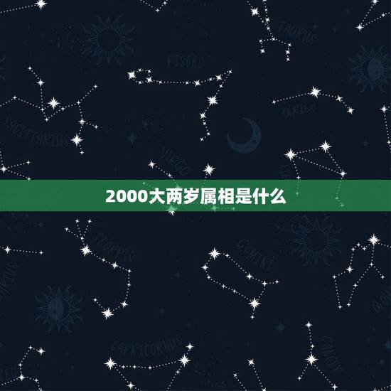2000大两岁属相是什么,比属兔大二岁生肖是什么 2000大两岁属相是什么,比属兔大二岁生肖是什么