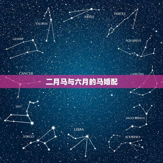 二月马与六月的马婚配,六月的马和二月的马相配吗 二月马与六月的马婚配,六月的马和二月的马相配吗