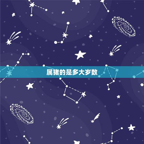 属猪的是多大岁数,95年属猪更佳婚配表 属猪的是多大岁数,95年属猪更佳婚配表