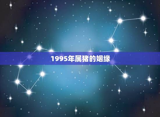 1995年属猪的姻缘,95属猪哪一年结婚更好 1995年属猪的姻缘,95属猪哪一年结婚更好