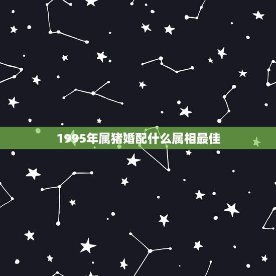 1995年属猪婚配什么属相最佳，1995年农历10月初九女生配什么属相