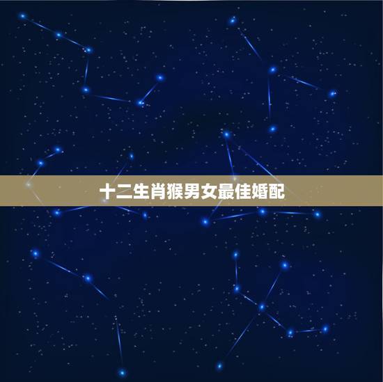 十二生肖猴男女最佳婚配，属猴男最佳属相婚配表