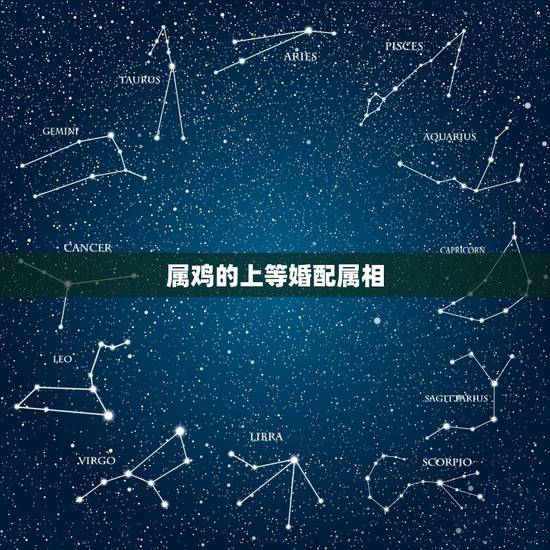 属鸡的上等婚配属相，生肖鸡配偶大忌