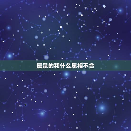 属鼠的和什么属相不合,属鼠的和什么属相合更好 属鼠的和什么属相不合,属鼠的和什么属相合更好