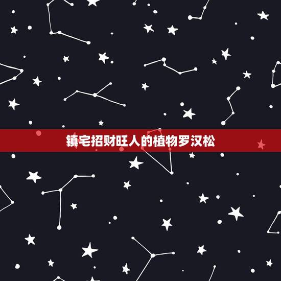 镇宅招财旺人的植物罗汉松,庭院种罗汉松有什么禁忌? 镇宅招财旺人的植物罗汉松,庭院种罗汉松有什么禁忌?