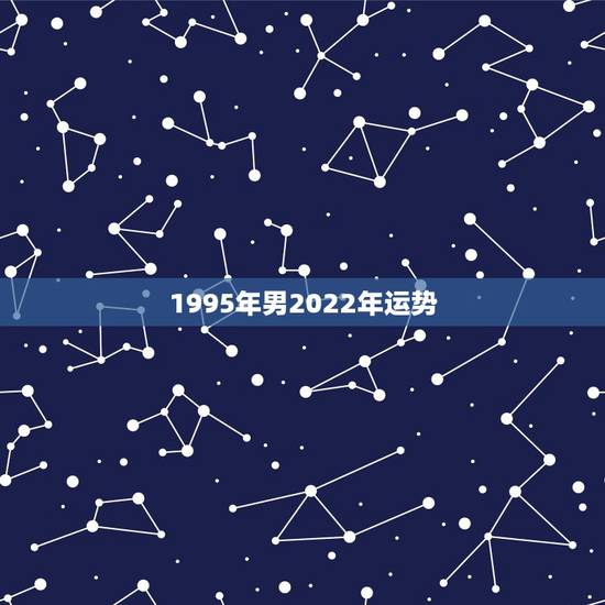 1995年男2022年运势，属猪2023年运势