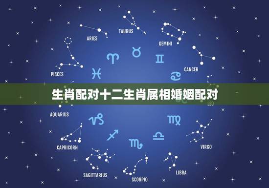 生肖配对十二生肖属相婚姻配对，生肖配对十二生肖属相婚姻配对可信吗