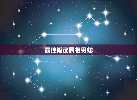 最佳婚配属相男蛇,男生属蛇最佳配偶是哪些生肖 最佳婚配属相男蛇,男生属蛇最佳配偶是哪些生肖