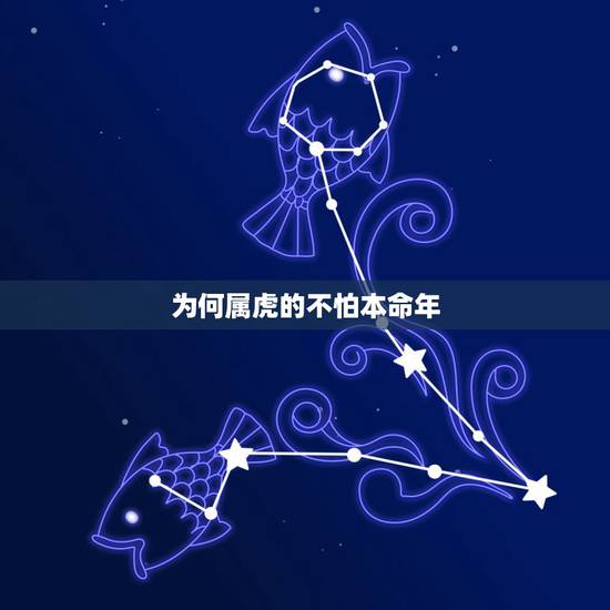 为何属虎的不怕本命年 属虎的开运吉祥物