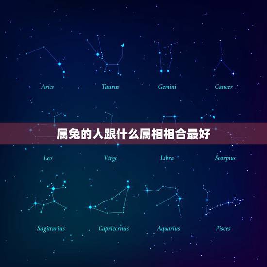 属兔的人跟什么属相相合最好,属猴的跟什么属相比较和,什么属相不和? 属兔的人跟什么属相相合最好,属猴的跟什么属相比较和,什么属相不和?