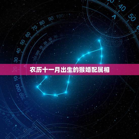 农历十一月出生的猴婚配属相，11月猴最加婚配什么属相