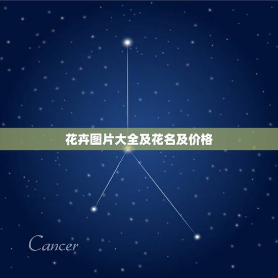 花卉图片大全及花名及价格，花卉图片大全及花名火炬花培养？