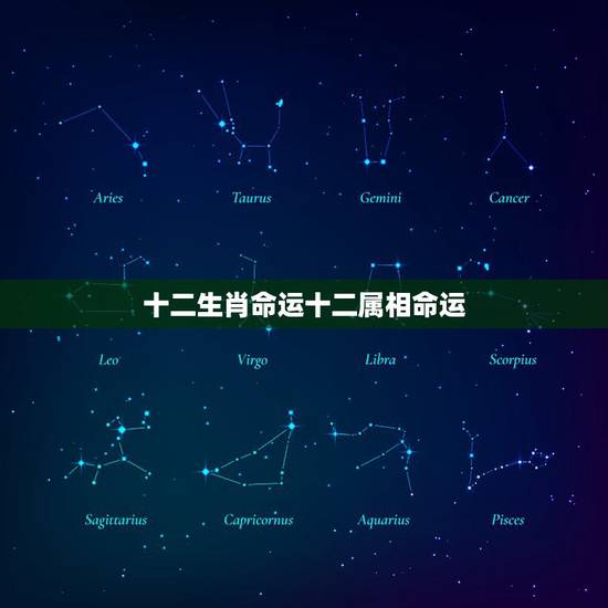 十二生肖命运十二属相命运，十二生肖属相五行命运