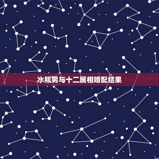 水瓶男与十二属相婚配结果，十二属相婚配
