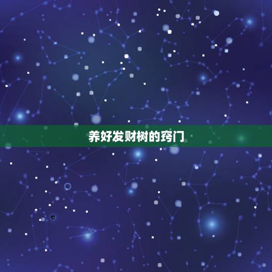 养好发财树的窍门，发财树的养殖方法和注意事项有哪些