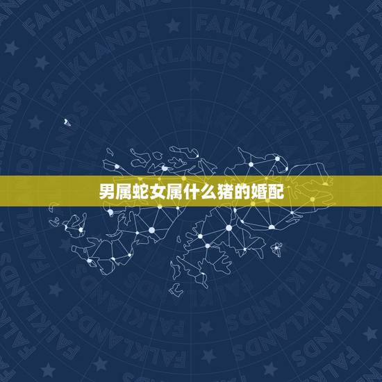 男属蛇女属什么猪的婚配，男属蛇女属猪的婚姻命运如何？