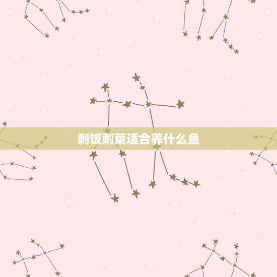 剩饭剩菜适合养什么鱼，食堂的剩饭剩菜能直接喂鱼吗