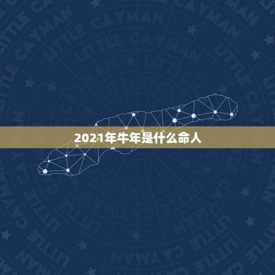 2021年牛年是什么命人，2021年是什么年什么命