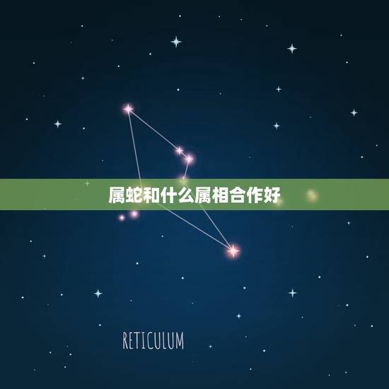 属蛇和什么属相合作好，属蛇和什么属相相克