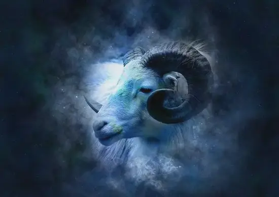 星座成长曲线与脑区开发关系 白羊座性格进化图示