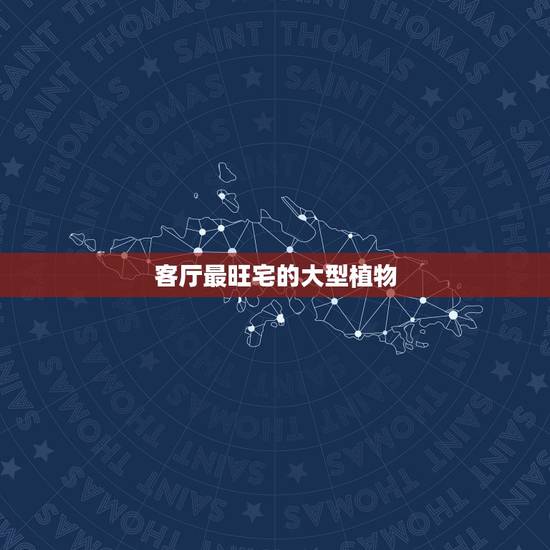 客厅最旺宅的大型植物，客厅放什么大型植物好呢，1.5米以上的