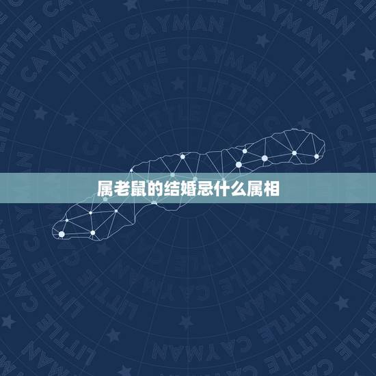 属老鼠的结婚忌什么属相,老鼠不适合配的生肖 属老鼠的结婚忌什么属相,老鼠不适合配的生肖