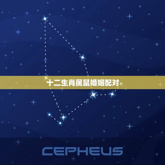 十二生肖属鼠婚姻配对，属鼠和属羊相配吗？