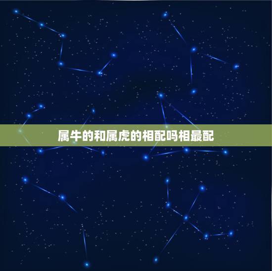 属牛的和属虎的相配吗相最配,属牛与属虎结婚适合吗 属牛的和属虎的相配吗相最配,属牛与属虎结婚适合吗