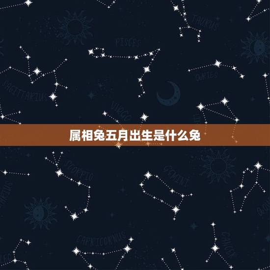属相兔五月出生是什么兔，51年5月属兔人五行属相表
