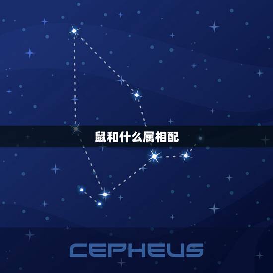 鼠和什么属相配 老虎和鼠属相不合 鼠和什么属相配 老虎和鼠属相不合