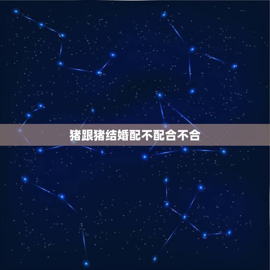 猪跟猪结婚配不配合不合,属相婚配:男属猪和女属猪相配吗 猪跟猪结婚配不配合不合,属相婚配:男属猪和女属猪相配吗