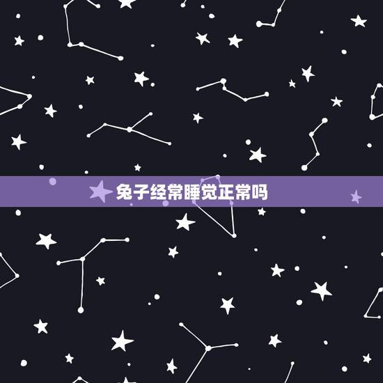 兔子经常睡觉正常吗,肚子上的赘肉怎么减最快最简单 兔子经常睡觉正常吗,肚子上的赘肉怎么减最快最简单